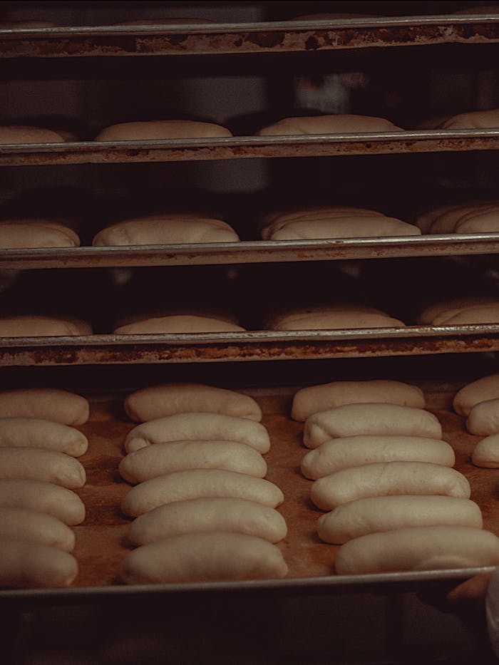 Vertical shot of multiple baking trays with fresh bread dough in an industrial oven, ready to bake.